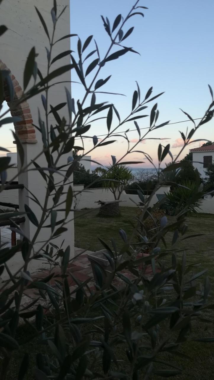 Villa Dolly Porto Columbu - Perd'E Sali Exterior foto